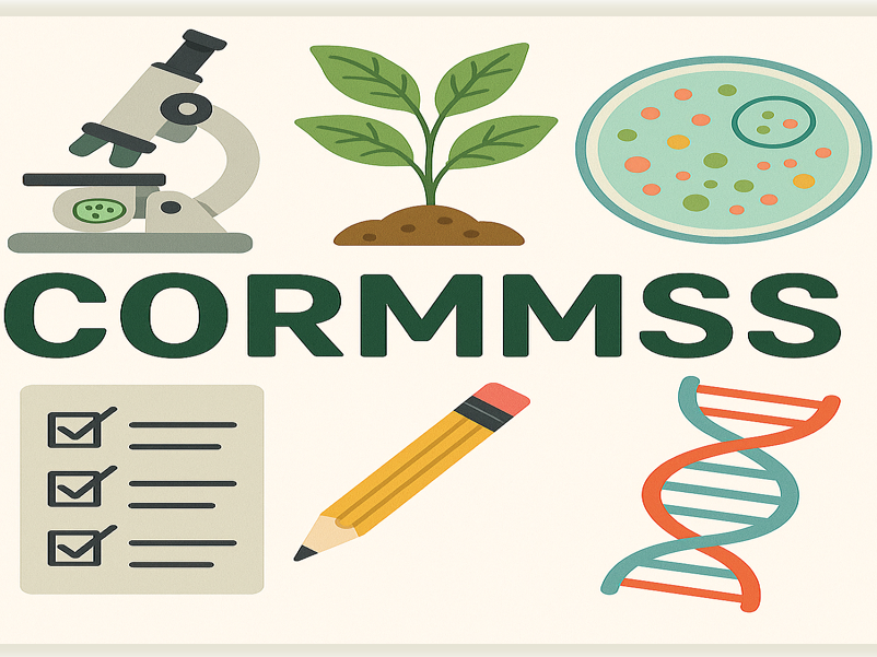 CORMS CORMMS CORMMSS! Practical planning PPt