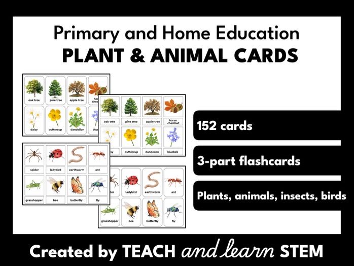 Plant and Animal Flashcards | Montessori-style | Home Education | KS1 | KS2