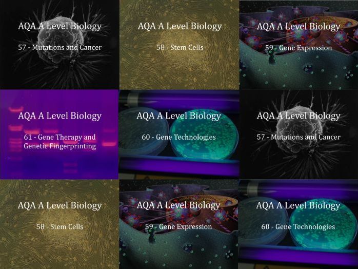 AQA A Level Biology Presentations Chapter 8 - The Control of Gene Expression
