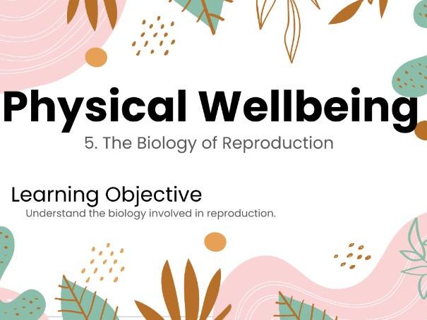 The Biology of Reproduction – KS3 Year 9 PSHE Lesson on Human Development