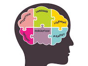 Cognitive Approach | AQA Psych Flipped Lesson Pack: Video, Slides & Workbook