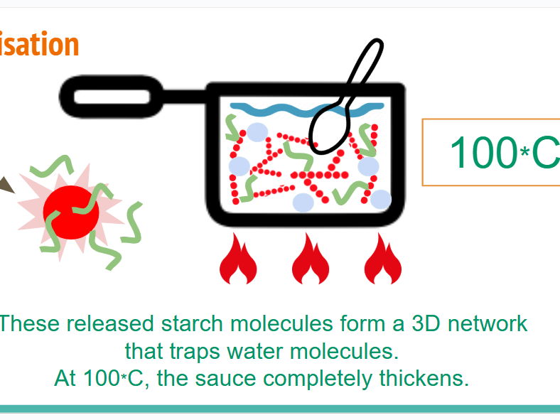 GCSE Food Prep & Nutrition: Carbohydrates- Food Science
