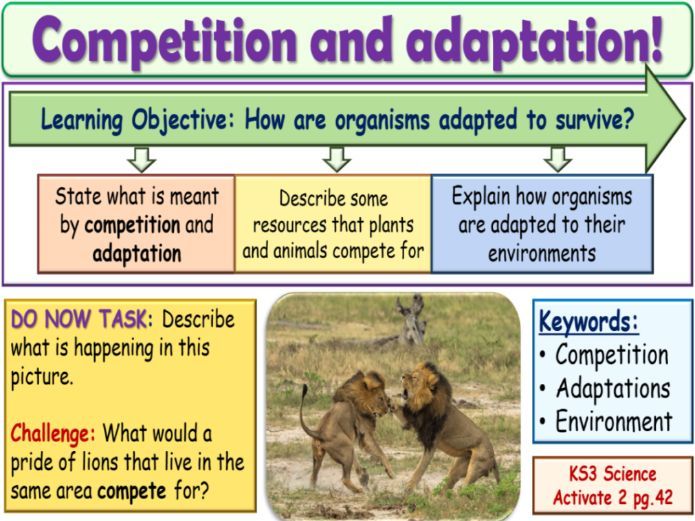 Competition and adaptation KS3 Activate Science Teaching Resources