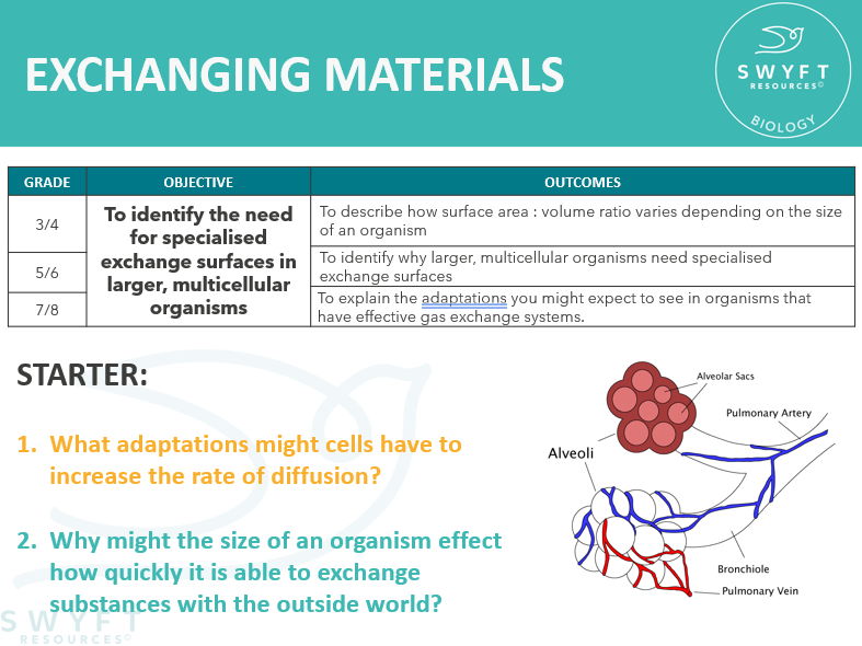 NEW AQA Trilogy GCSE (2016) Biology - Exchanging Materials