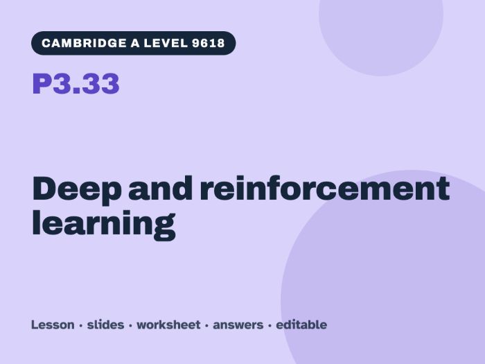 Cambridge A Level Computer Science 9618 – P3.33 Deep and reinforcement learning – Lesson & Worksheet