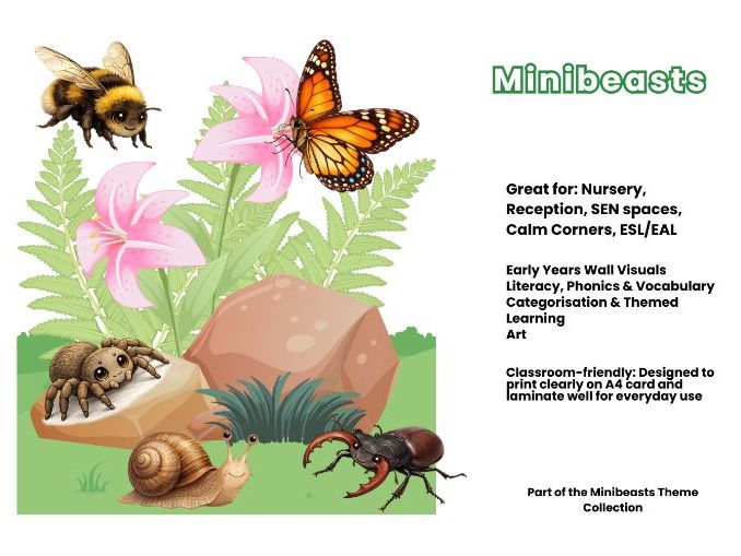 Minibeasts Bundle Labels, Signs, Visuals, Reward Cards