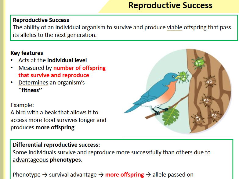 3.7 Reproductive Success, Selection & Evolution
