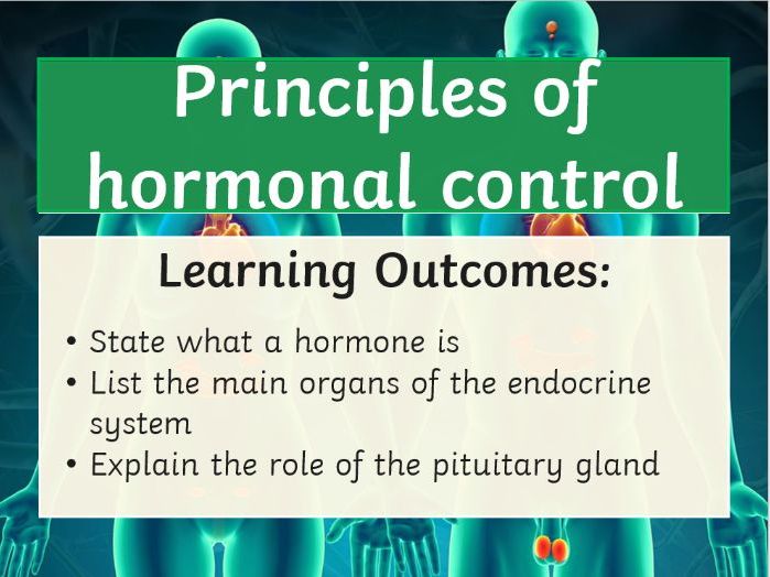 AQA GCSE Principles of Hormonal Control KS4