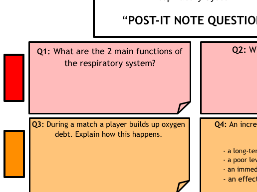 Physical Education: Respiratory System Worksheet & Activity