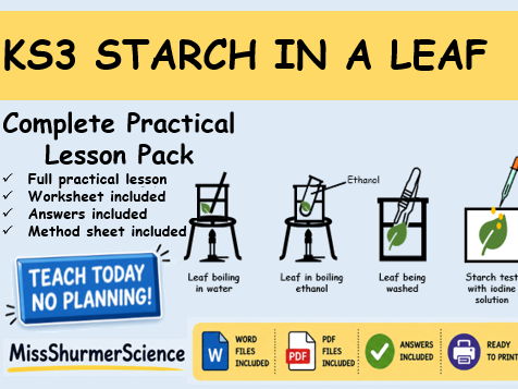 KS3 Starch in a Leaf Complete Practical Lesson Pack (Photosynthesis)