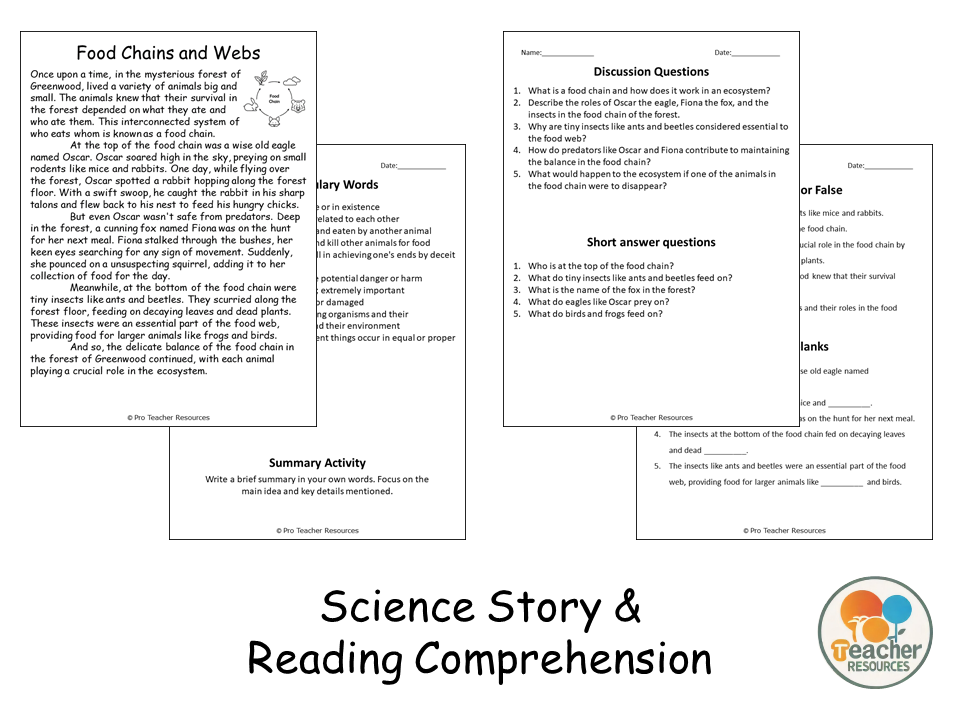 Food Chains and Webs Reading Science Story Comprehension Questions ...