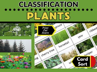 Plant Classification | Plants | Card Sort | KS2–KS3 Science