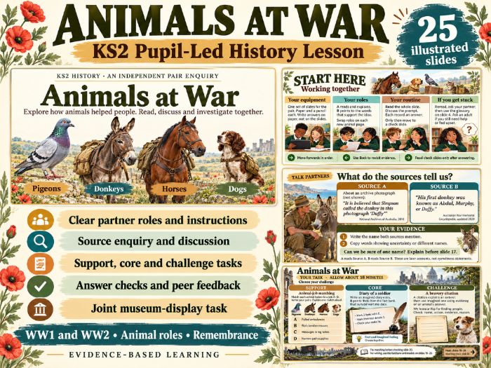 Animals at War KS2 Pupil-Led Lesson