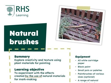RHS Learning - Natural Brushes