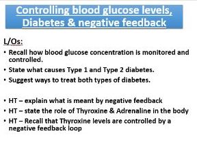 New spec AQA Blood glucose, diabetes and negative feedback