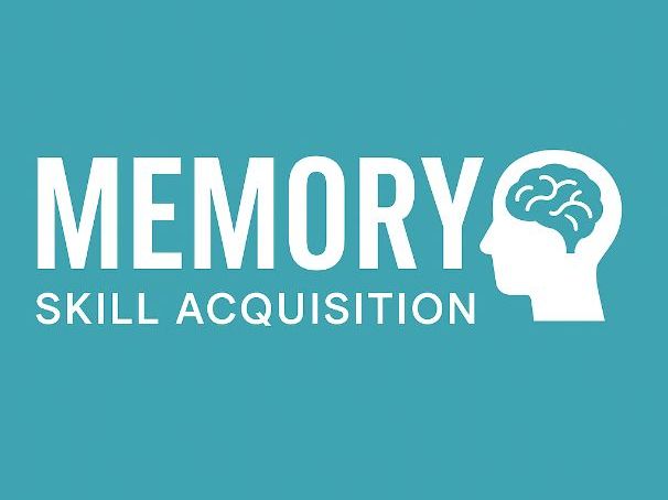 A-Level PE Skill Acquistion Lesson 21 – Memory: Levels of Processing Model