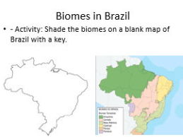 KS3 Brazil unit of work: plus booklet, assessment with mark scheme and knowldge organiser.