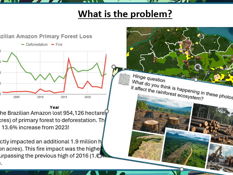 Y4 Geography - Rainforests - Lesson 4 Impact