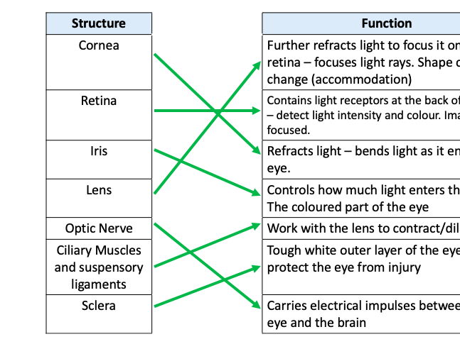 The Eye and Accommodation (AQA GCSE Biology)