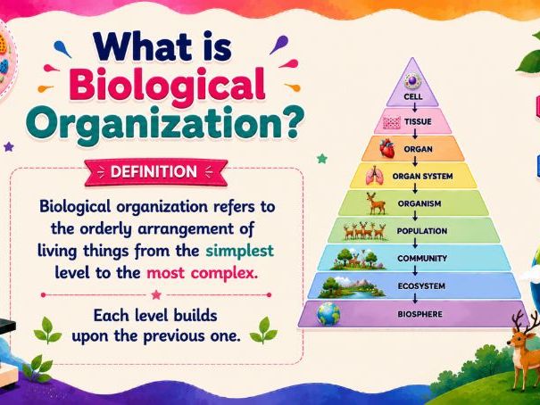 Levels of Biological Organization: Cells to Biosphere |Complete Science Lesson