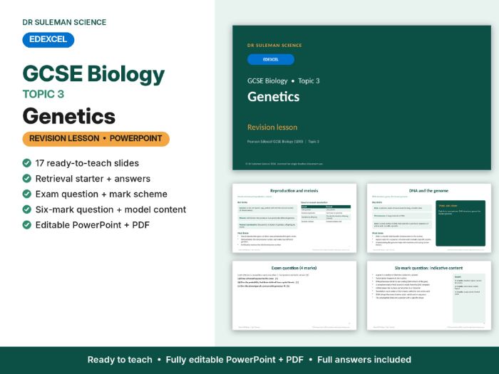 Edexcel GCSE Biology Topic 3 Genetics Revision Lesson PowerPoint