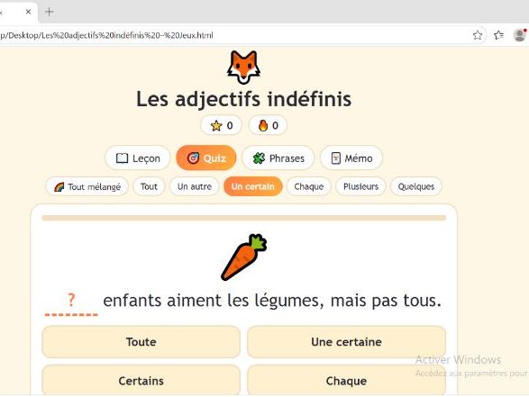 French Grammar: Indefinite Adjectives Games