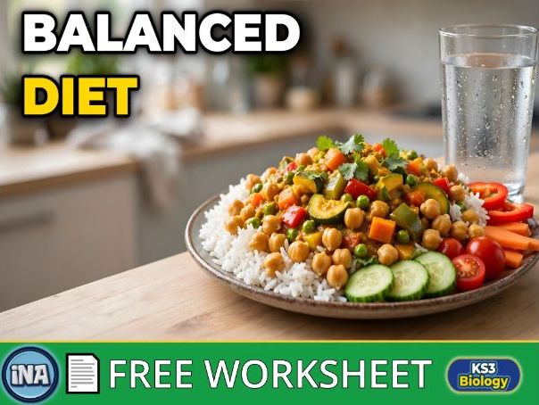 Balanced Diet - FREE KS3 Biology Worksheet
