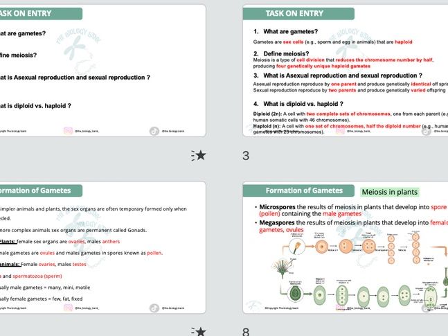 3B.3 Sexual Reproduction