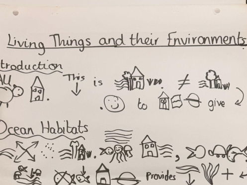 Year 2 Non chronological report habitats powerpoint