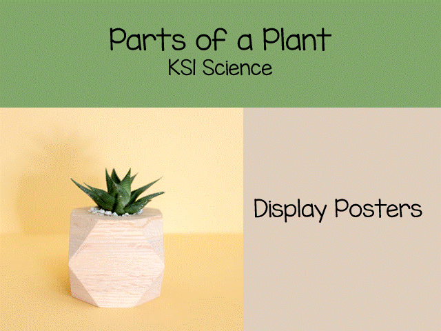 Parts of a Plant Display pack for KS1 Science