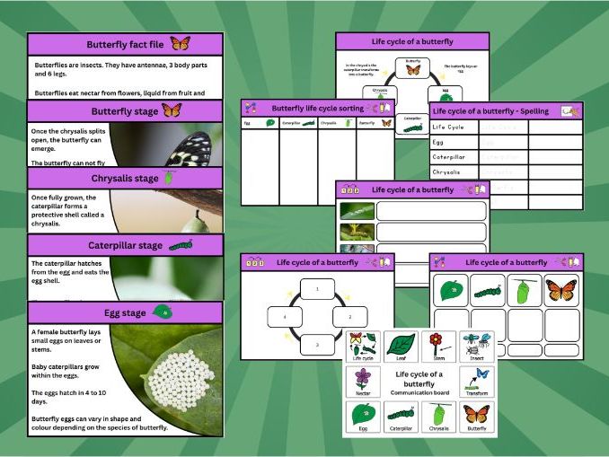 Butterfly Life Cycle bundle | Early level / KS1 / SEND | Worksheets, Sorting & Fact Files