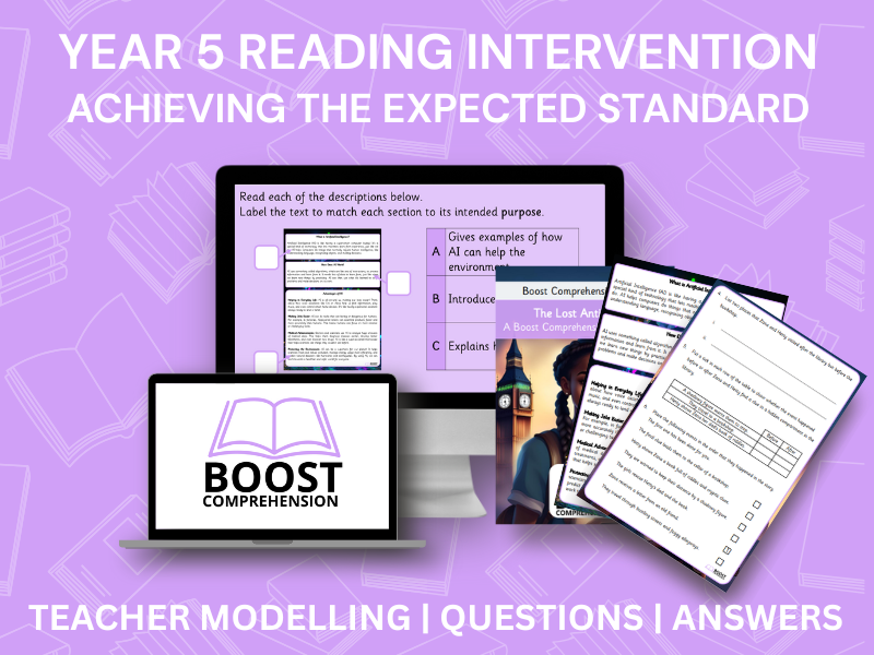 Year 5 Reading Intervention – Achieving Expected