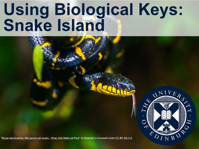 Using Biological Keys – Snake Island