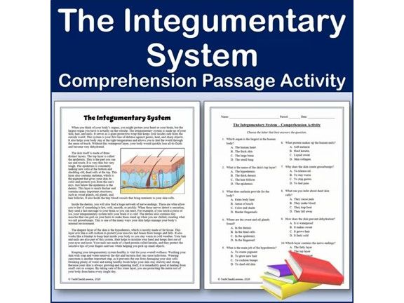 The Integumentary System - Biology Reading Comp Passage & Activity | Editable