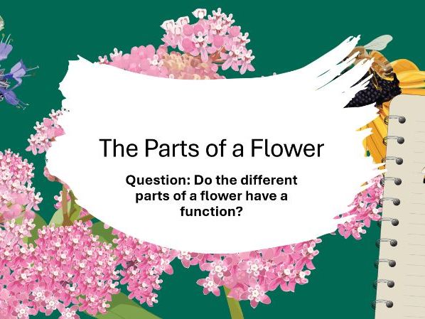 Parts of a Flower and the Process of Polination