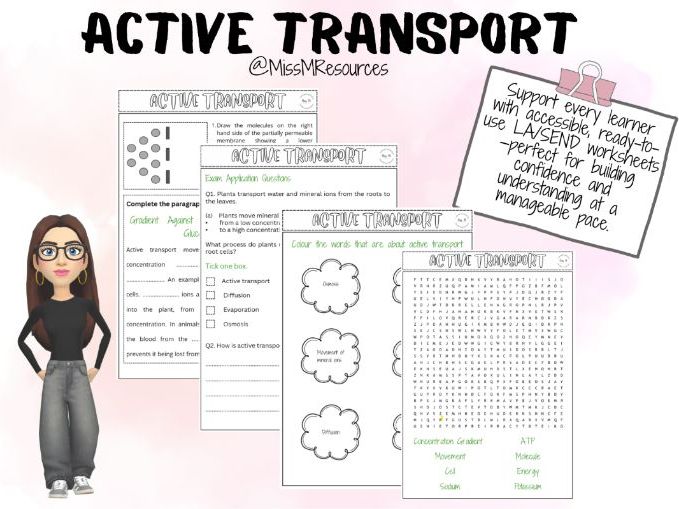 Active Transport SEND/LA Worksheets