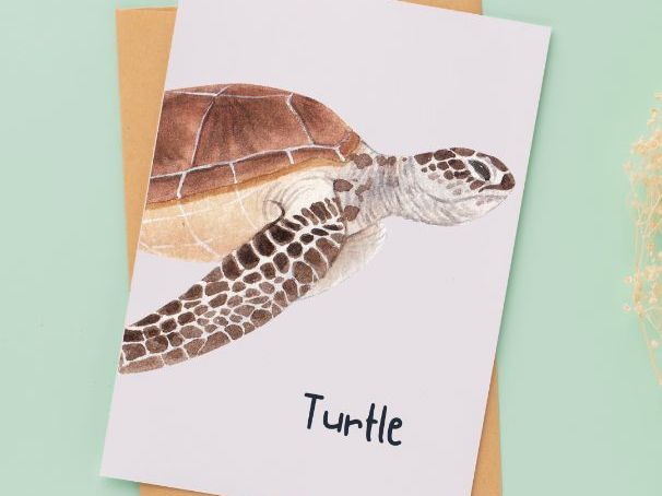 Sea Creature Cards | Visual Flashcards