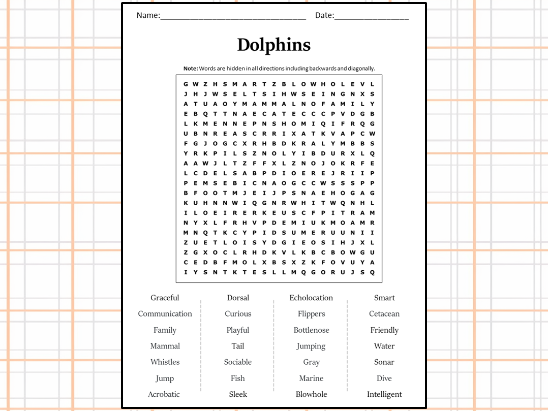 Dolphins Word Search Puzzle Worksheet Activity | Teaching Resources