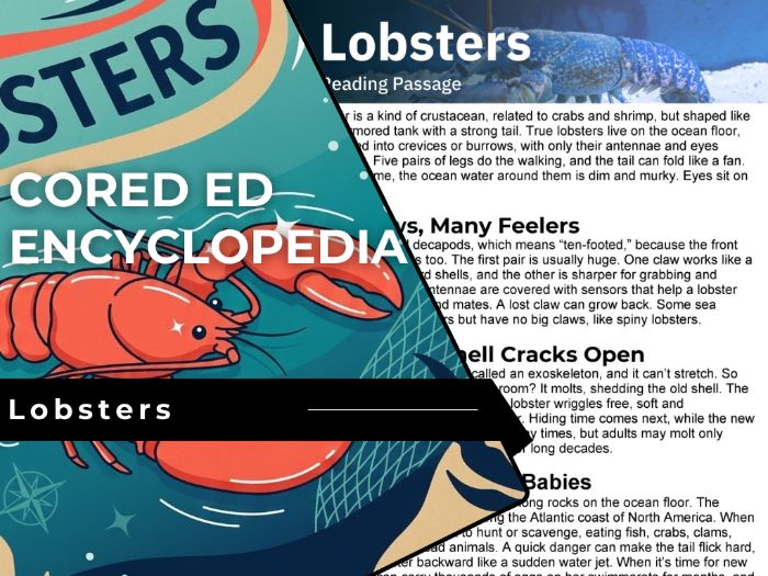 Lobsters Reading Comprehension Passage - Cored Ed Encyclopedia