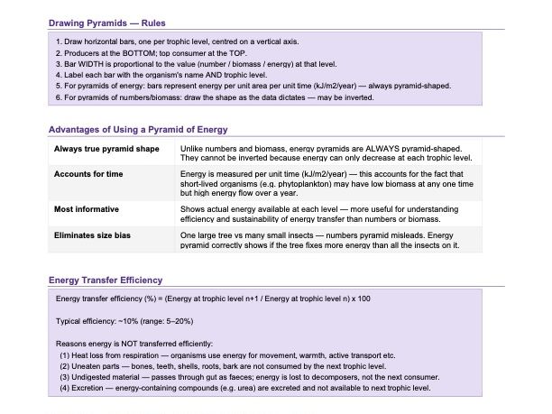 Ch.19 Organisms and their environment — Exam-focused Revision Guide — Cambridge IGCSE Biology 0610