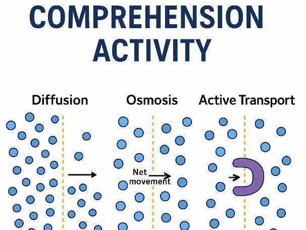 Cell Transport Comprehension Activity