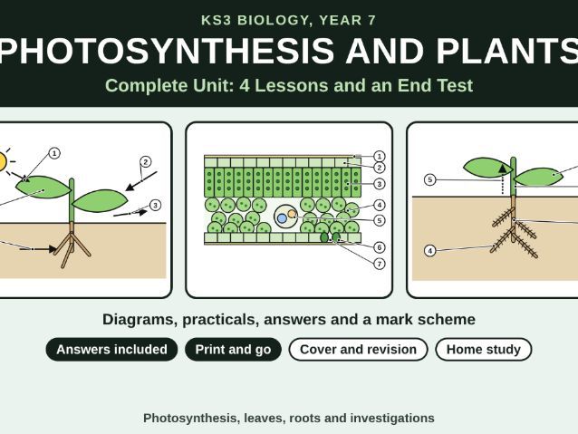 KS3 Biology Photosynthesis and Plants Bundle