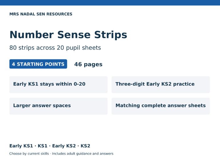 Number Sense Strips SEN Maths | 80 Strips | 4 Levels