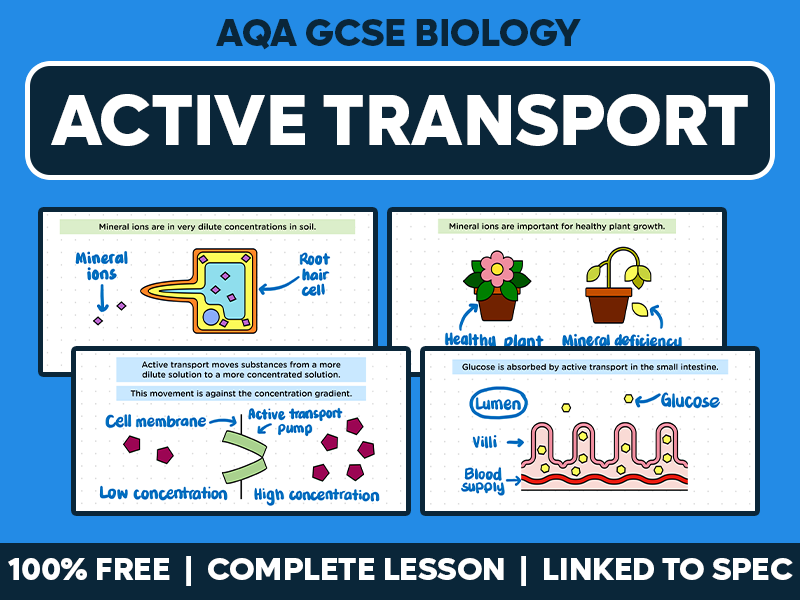 GCSE AQA Biology Complete Lesson - Active Transport