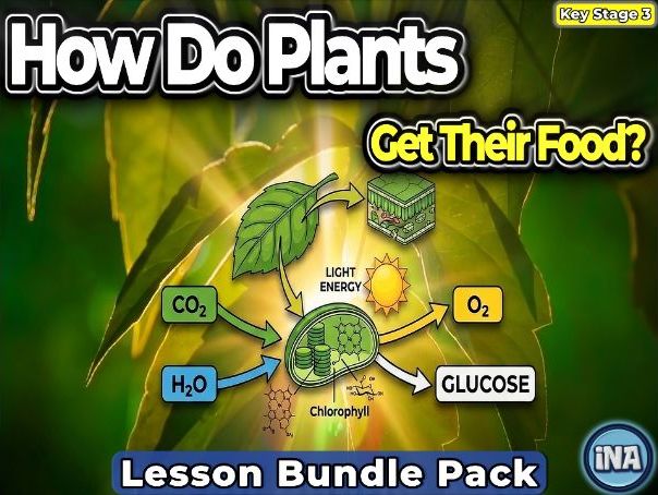 Plant Nutrition - Complete KS3 Biology Lesson Pack