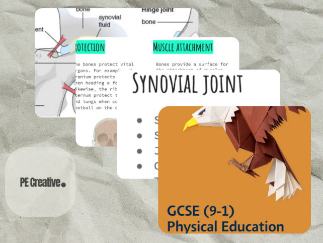 Edexcel PE (1-9) Skeletal system powerpoint