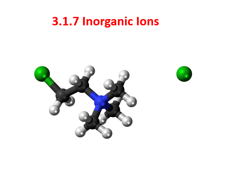 FREE! AQA AS / A Level Biology Unit 1.8 Ions FREE SAMPLE