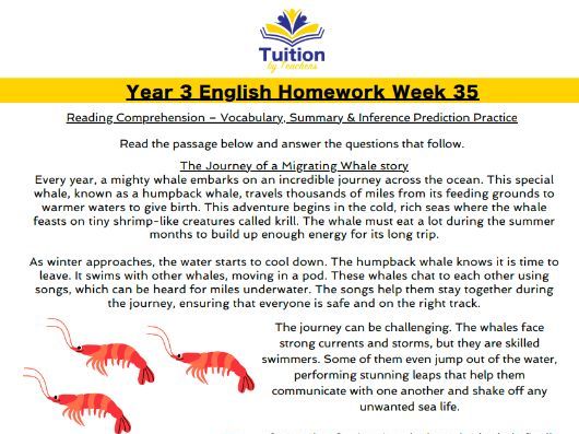 35. Year 3 Reading Comprehension & Question Marks