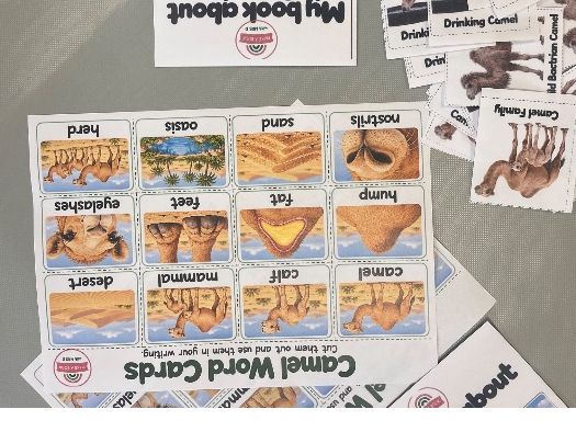 Camel CP Pack