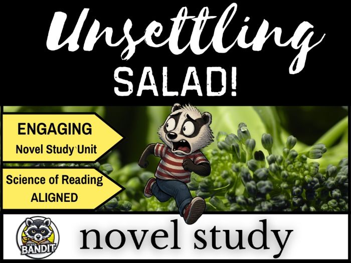 UNSETTLING SALAD Novel Study and Reading Comprehension